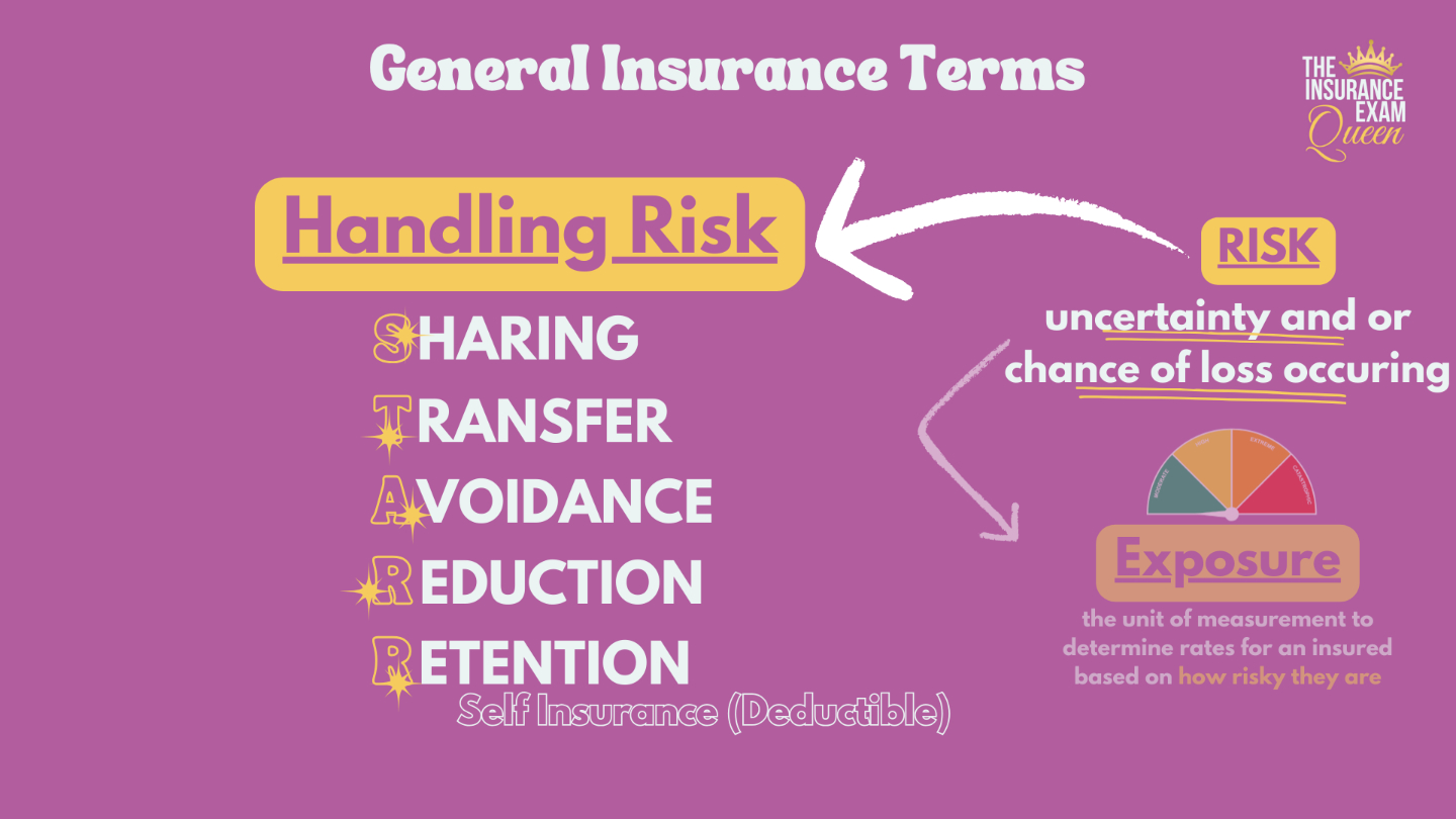 illustration to support the following paragraphs using STARR as an acronym for Sharing Transfer Avoidance Reduction and Retention