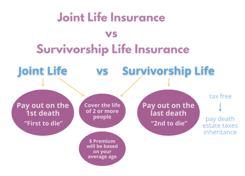 woman-studying Joint vs survivorship life insurance flowchart