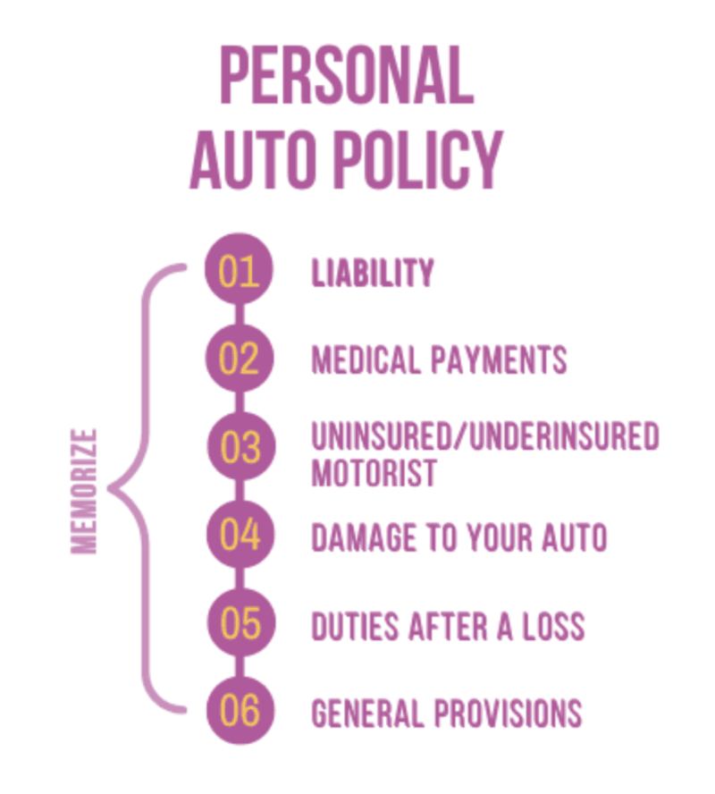 woman-studying Breakdown list of Personal Auto Policy items