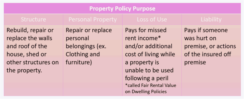 woman-studying table showing property policy purpose