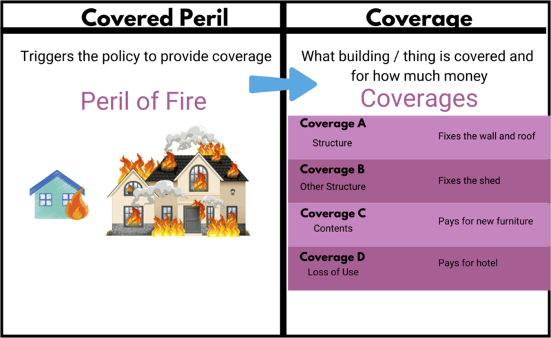 woman-studying Table shows different types of coverage