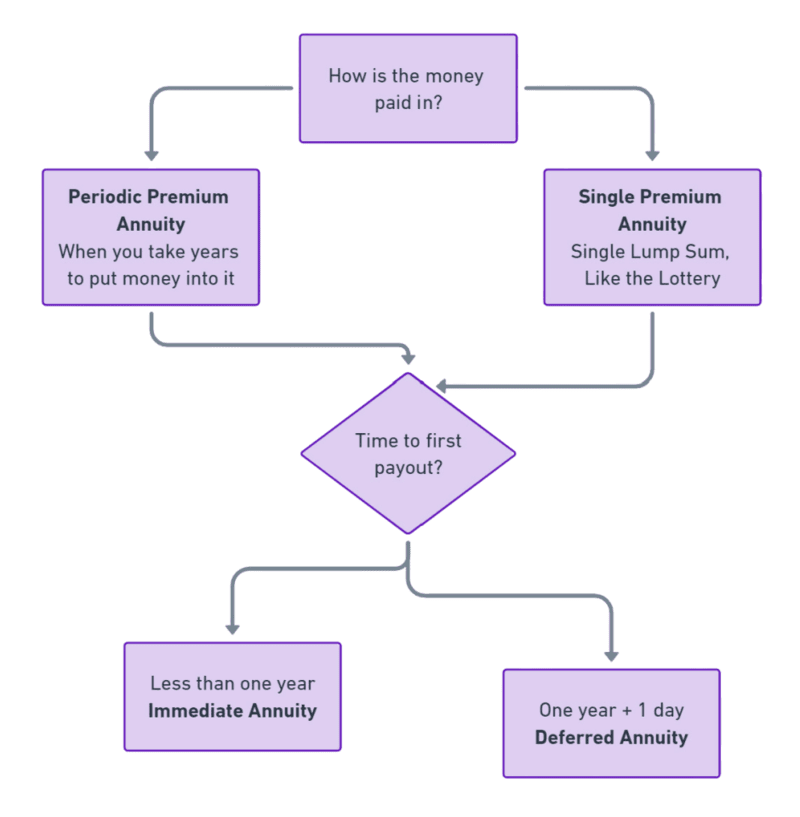 woman-studying flowchart showing Periodic Premium, Single Premium, Immediate & Deferred Annuity