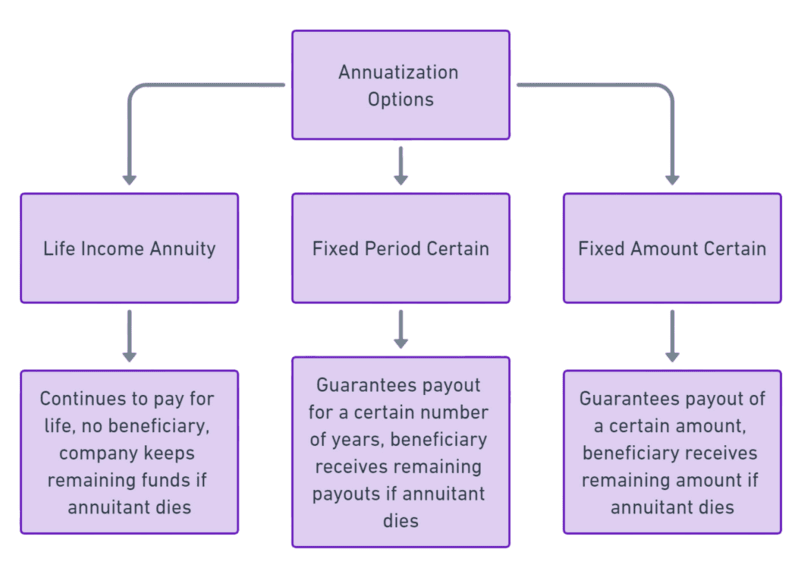woman-studying Flowchart showing Annuatization Options