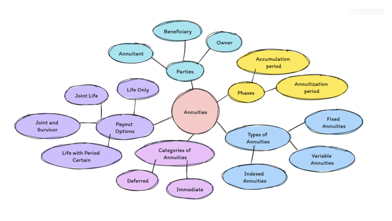 woman-studying Annuities Flowchart